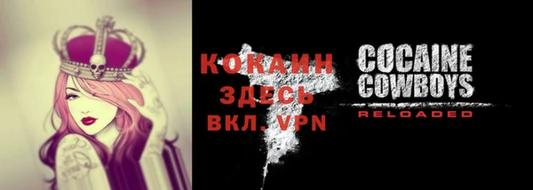 прущий лед Козельск