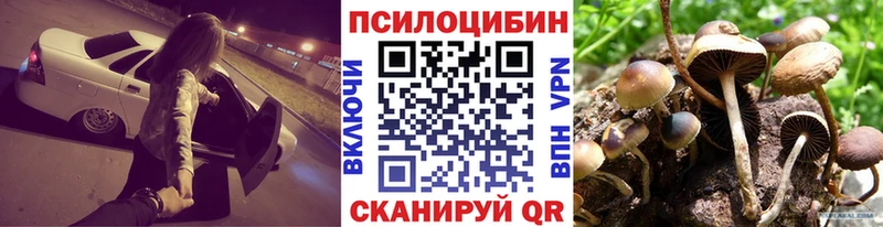 Купить где  Няндома  Псилоцибиновые грибы MAGIC MUSHROOMS 